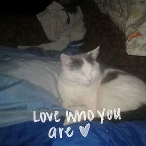 Meet your Posher, Kellie